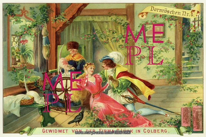 : The Sleeping Beauty : The Sleeping Beauty