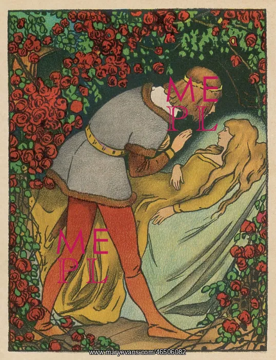  : Sleeping Beauty
