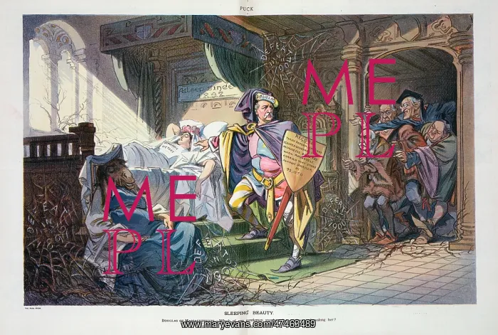 : Sleeping beauty : Sleeping beauty