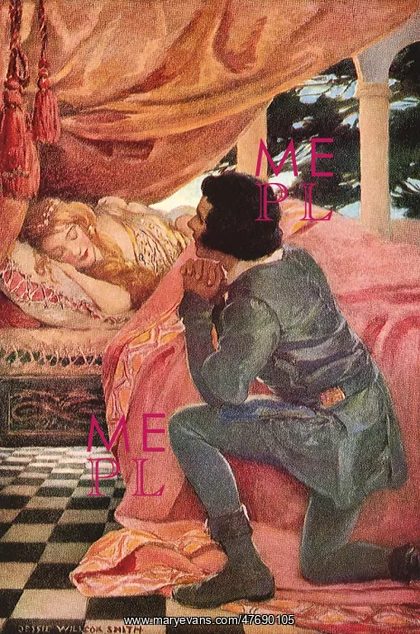  : The Sleeping Beauty