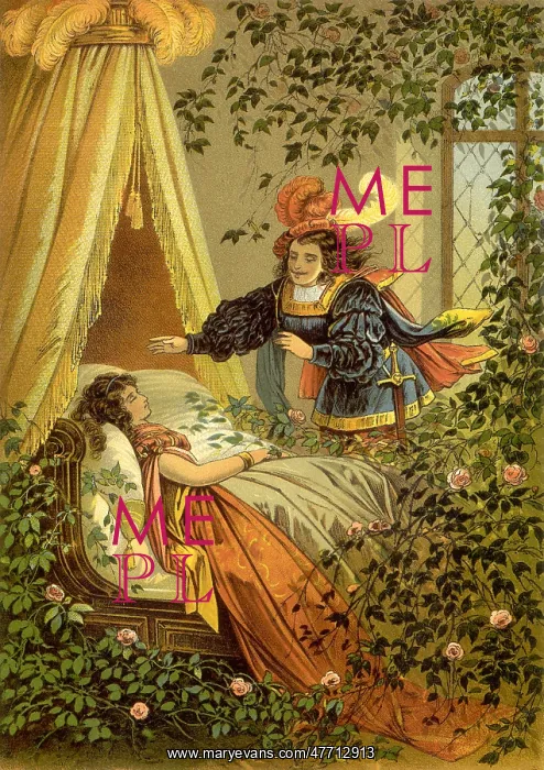 : Sleeping Beauty : Sleeping Beauty