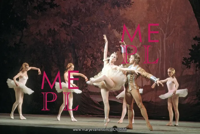 : Sleeping Beauty ballet, 1973 : Sleeping Beauty ballet, 1973