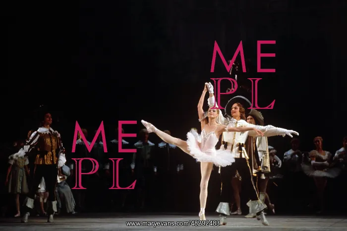 : Sleeping Beauty ballet, 1973 : Sleeping Beauty ballet, 1973