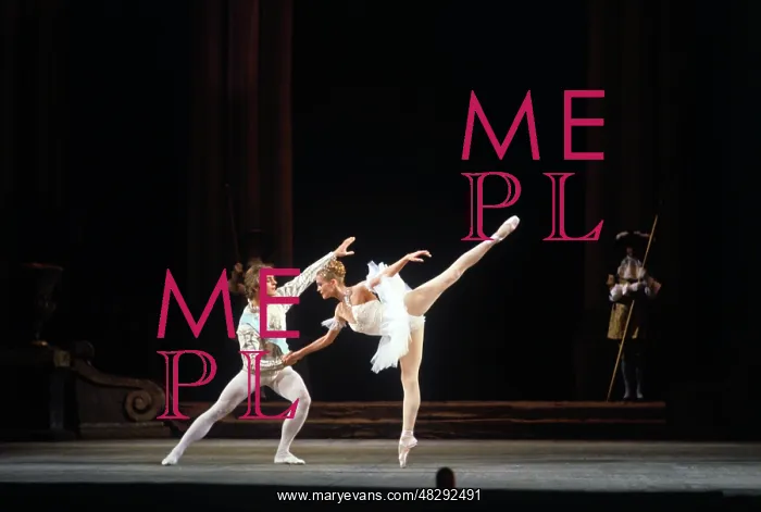 : Sleeping Beauty ballet, 1973 : Sleeping Beauty ballet, 1973