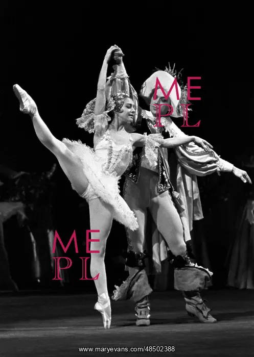 : The Sleeping Beauty ballet, 1973 : The Sleeping Beauty ballet, 1973