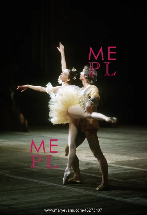 : The Sleeping Beauty ballet, 1978 : The Sleeping Beauty ballet, 1978