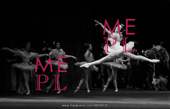 : The Sleeping Beauty ballet, 1981 : The Sleeping Beauty ballet, 1981