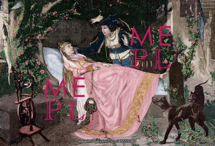 : The Sleeping Beauty. Engraving. Colored : The Sleeping Beauty. Engraving. Colored