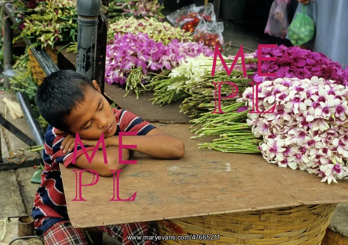 : Sleeping boy, Bangkok market : Sleeping boy, Bangkok market