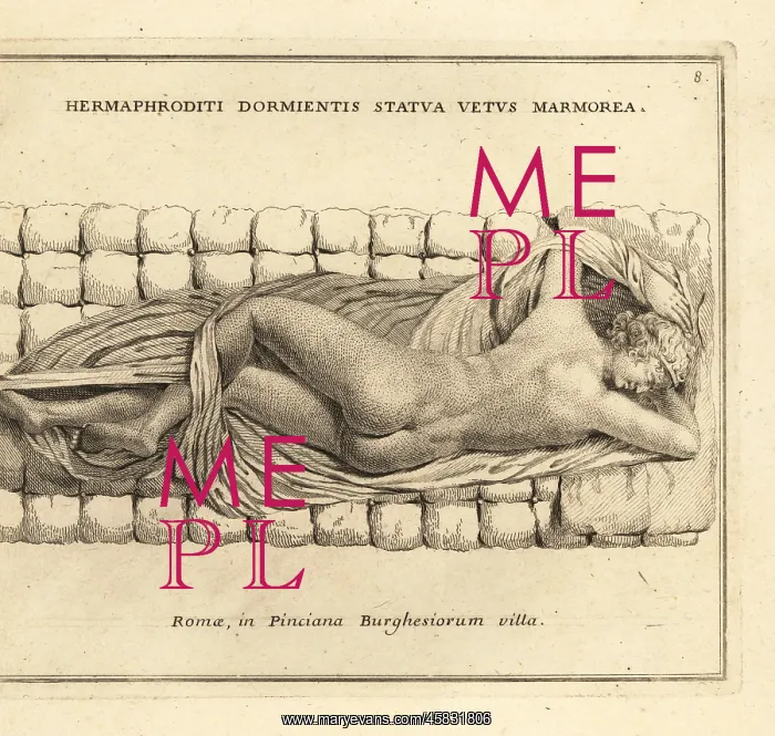 : Sleeping Hermaphroditus, or the Borghese Hermaphroditus : Sleeping Hermaphroditus, or the Borghese Hermaphroditus