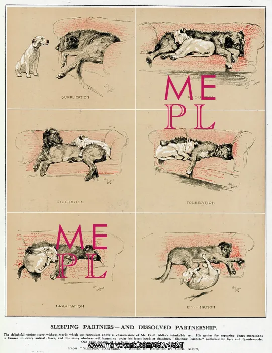 : Sleeping Partners and Dissolved Partnership, Cecil Aldin : Sleeping Partners and Dissolved Partnership, Cecil Aldin
