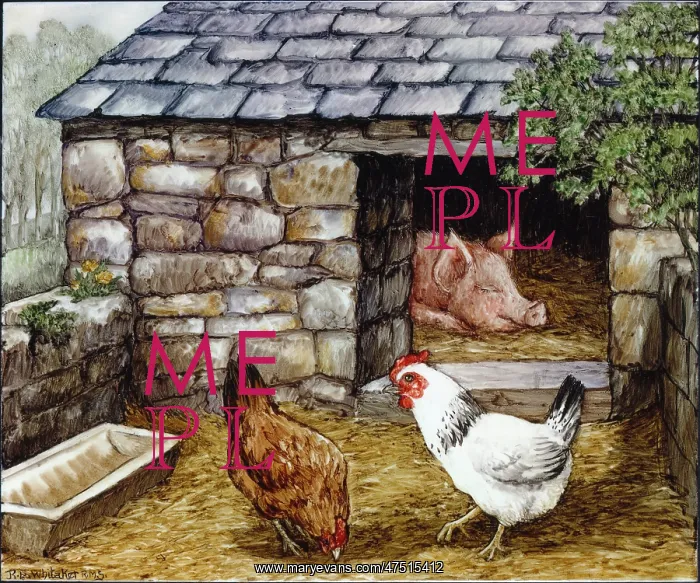 : Sleeping pig with hens : Sleeping pig with hens