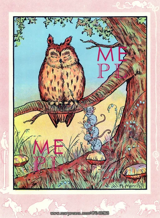  : Sleepy owl tickled by mice