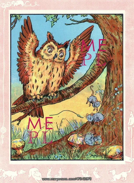 : Sleepy owl wakes up : Sleepy owl wakes up
