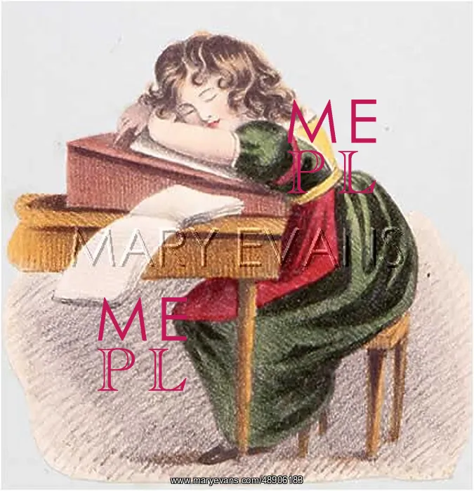 : A SLEEPY SCHOLAR / FEMALE : A SLEEPY SCHOLAR / FEMALE