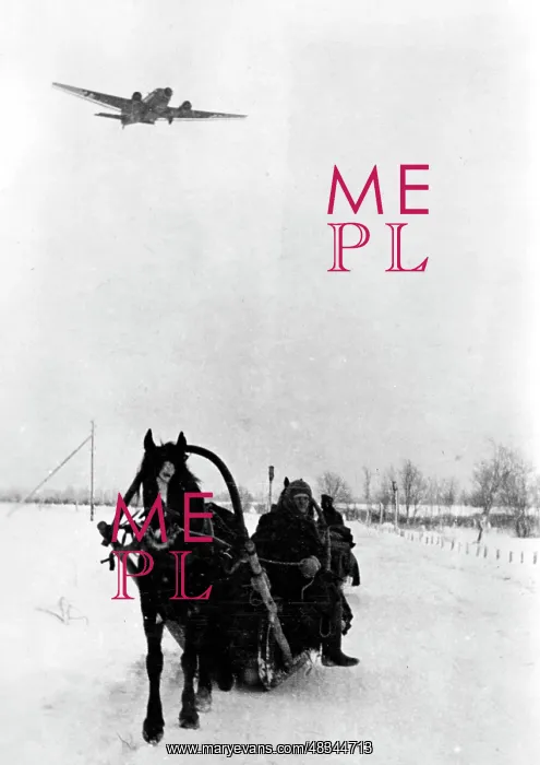 : Sleigh at Demjansk, 1942 : Sleigh at Demjansk, 1942