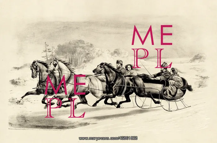  : The Sleigh Race
