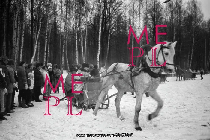 : Sleigh ride in Izmaylovo Park : Sleigh ride in Izmaylovo Park
