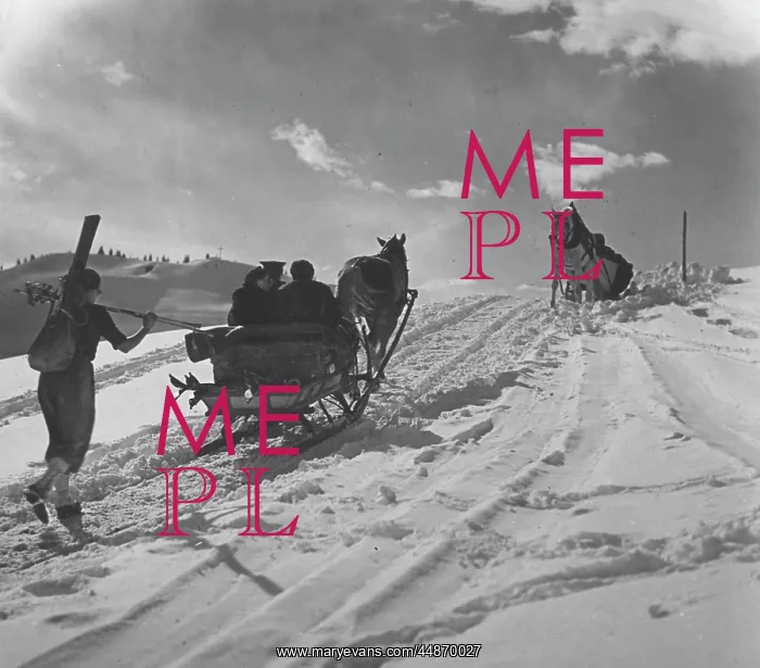: SLEIGH RIDES : SLEIGH RIDES