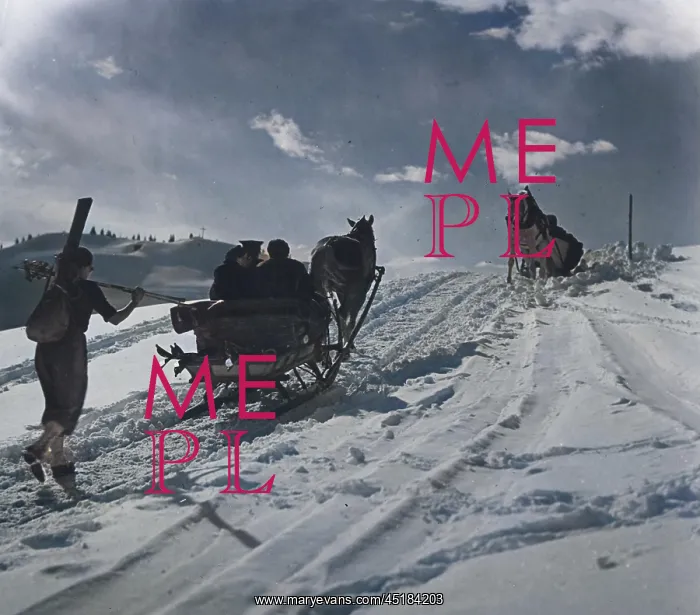 : SLEIGH RIDES : SLEIGH RIDES