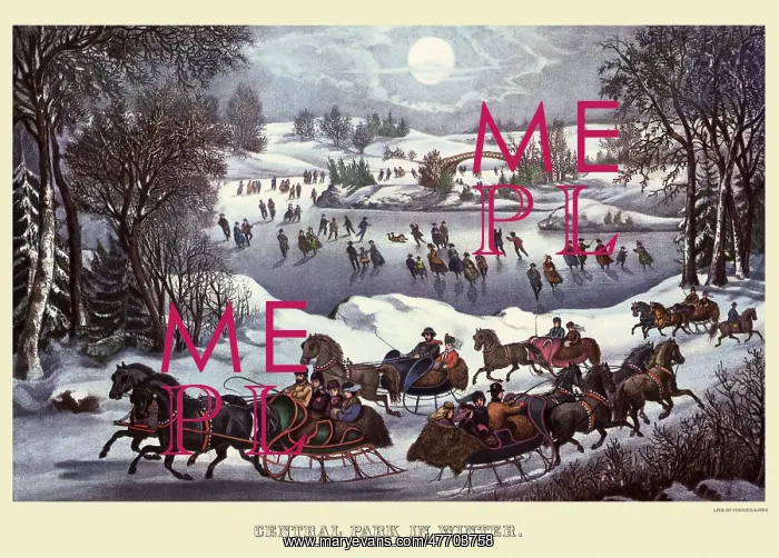 : Sleigh Riding in Central Park : Sleigh Riding in Central Park