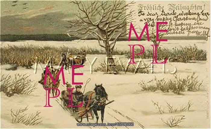 : SLEIGHING. Germans going out into the snow-covered countryside in their : SLEIGHING. Germans going out into the snow-covered countryside in their
