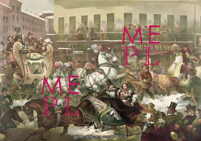 : Sleighing in New York : Sleighing in New York