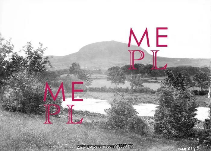 : Slemish - a view over farmland to Slemish in the distance : Slemish - a view over farmland to Slemish in the distance