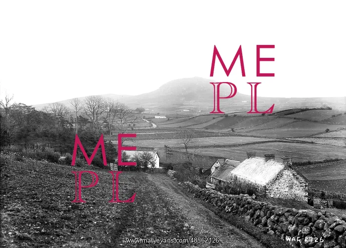 : Slemish, Co. Antrim : Slemish, Co. Antrim