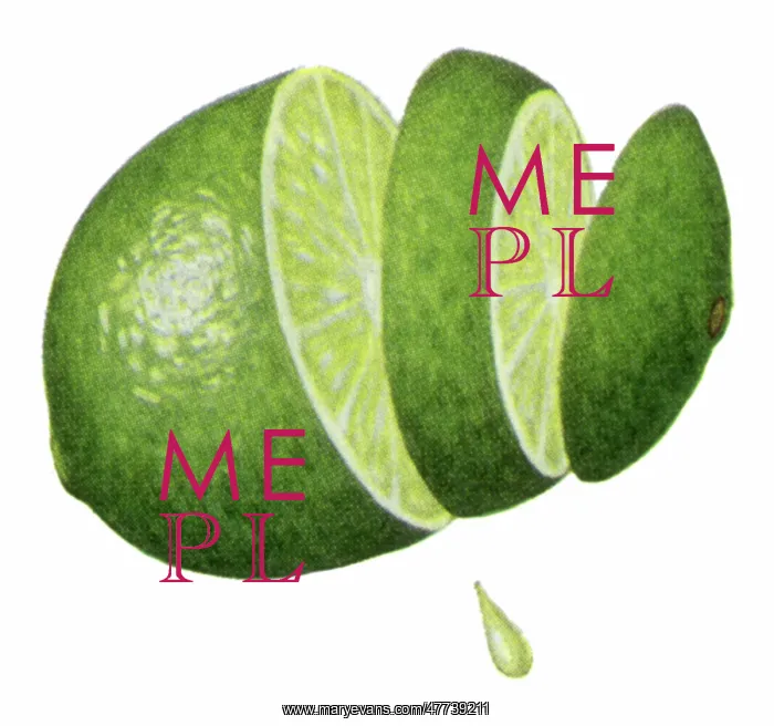  : Slice and Juicy Lime