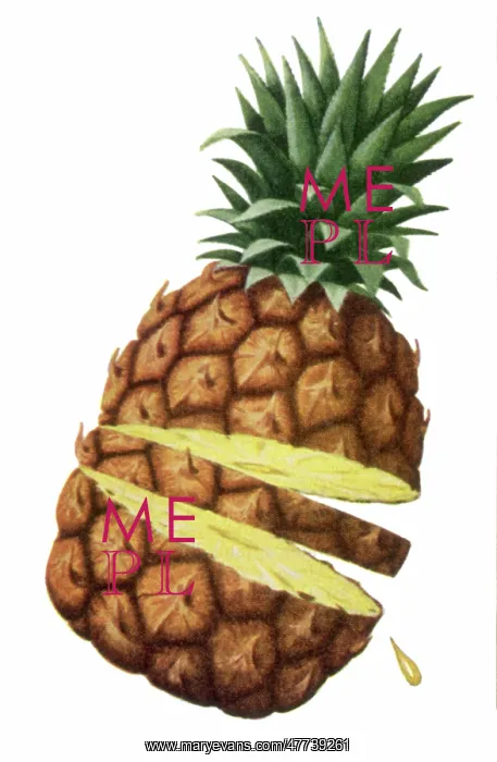 : Sliced, Fresh Pineapple : Sliced, Fresh Pineapple