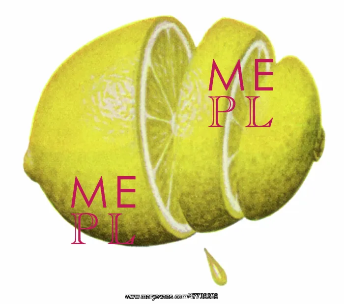  : Sliced and Juicy Lemon