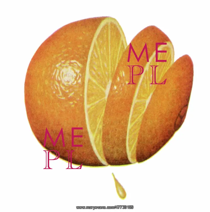  : Sliced and Juicy Orange