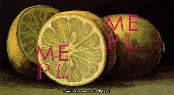 : Sliced Lemons : Sliced Lemons