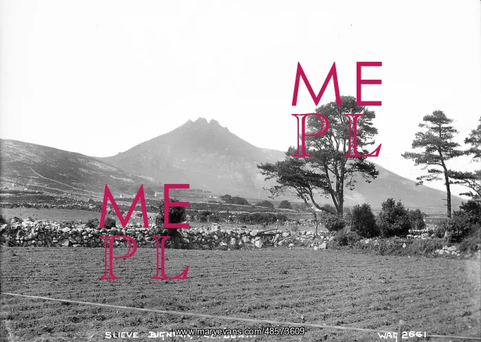  : Slieve Bignian, Co. Down