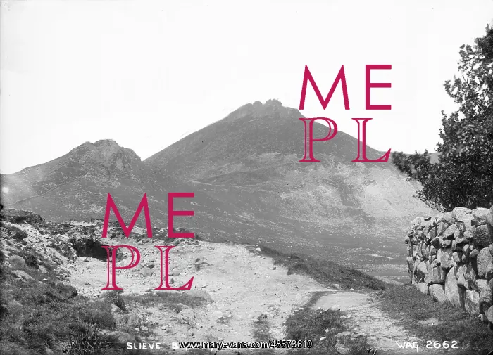 : Slieve Bignian, Co. Down : Slieve Bignian, Co. Down
