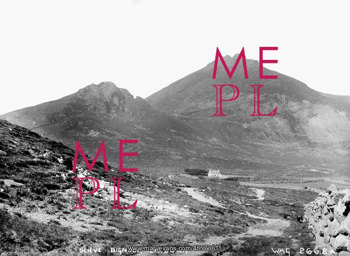 : Slieve Bignian, Co. Down : Slieve Bignian, Co. Down