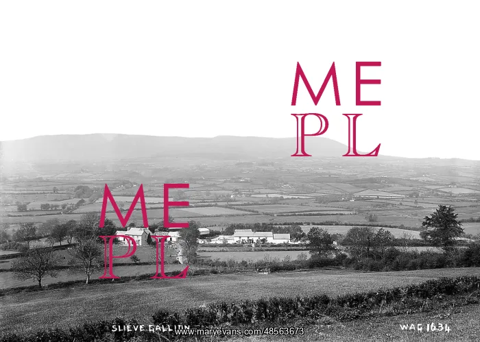 : Slieve Gallion : Slieve Gallion