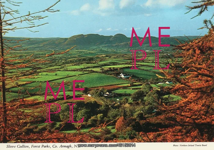: Slieve Gullion, Forest Parks, County Armagh, Ireland : Slieve Gullion, Forest Parks, County Armagh, Ireland