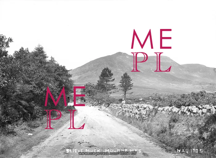 : Slieve Muck, Mourne Mts : Slieve Muck, Mourne Mts