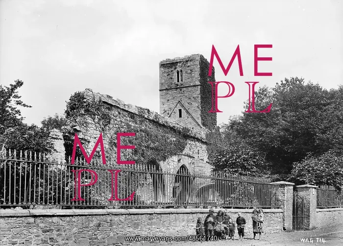 : Sligo Abbey : Sligo Abbey