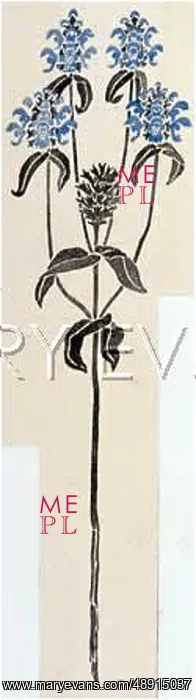 : SLIM BLUE PLANT : SLIM BLUE PLANT