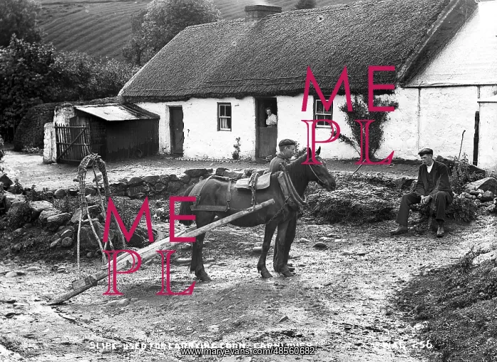 : Slipe used for Carrying Corn, Carnlough : Slipe used for Carrying Corn, Carnlough