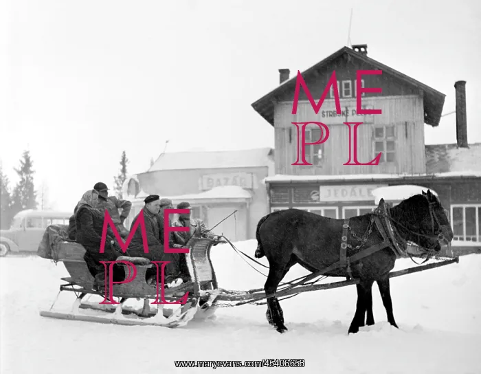 : Slovakia - sled : Slovakia - sled