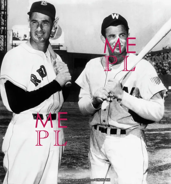 : Top Sluggers. Ted Williams of the Boston ? : Top Sluggers. Ted Williams of the Boston ?
