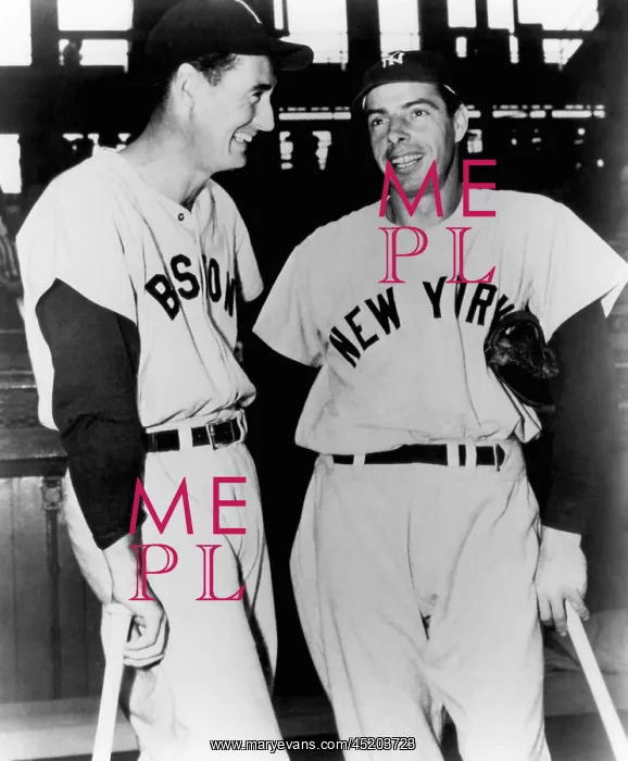 : Top Sluggers. Ted Williams of the Boston ? : Top Sluggers. Ted Williams of the Boston ?