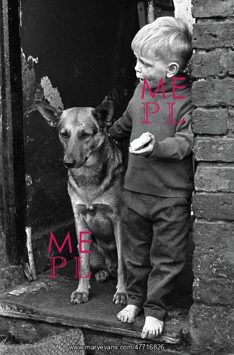 : slum child with dog : slum child with dog