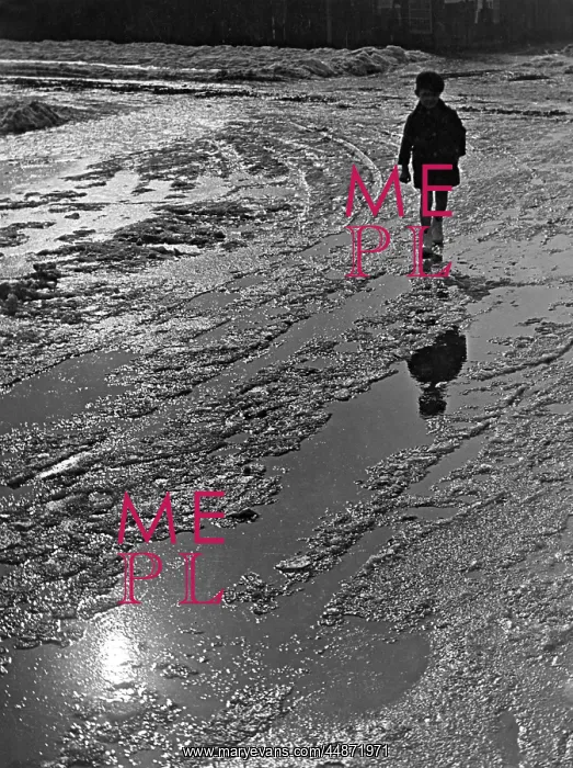 : SLUSHY SNOW : SLUSHY SNOW