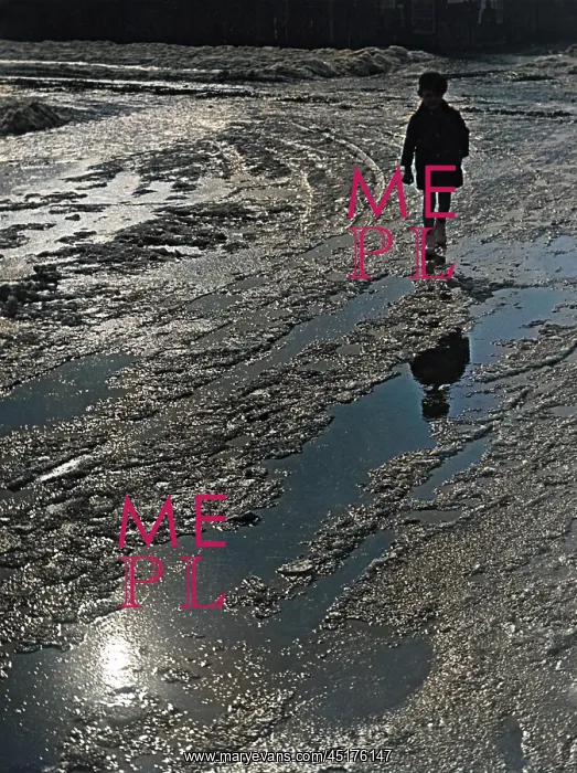 : SLUSHY SNOW : SLUSHY SNOW