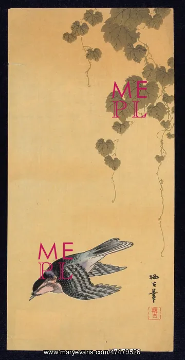 : Small bird and grapes : Small bird and grapes